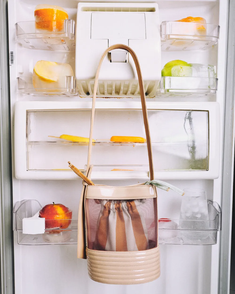 carlota macadâmia + gallerist